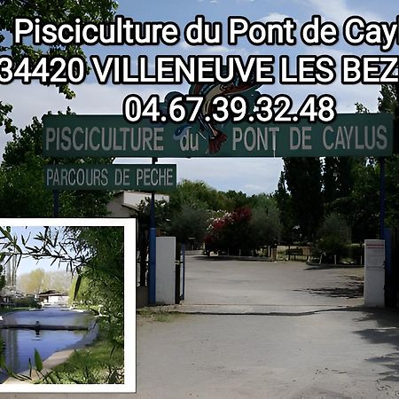 Tiny House 3 Personnes Soeursgrises Beziers Centre Historique Coeur De L'Herault Capitale D'Occitanie Dış mekan fotoğraf