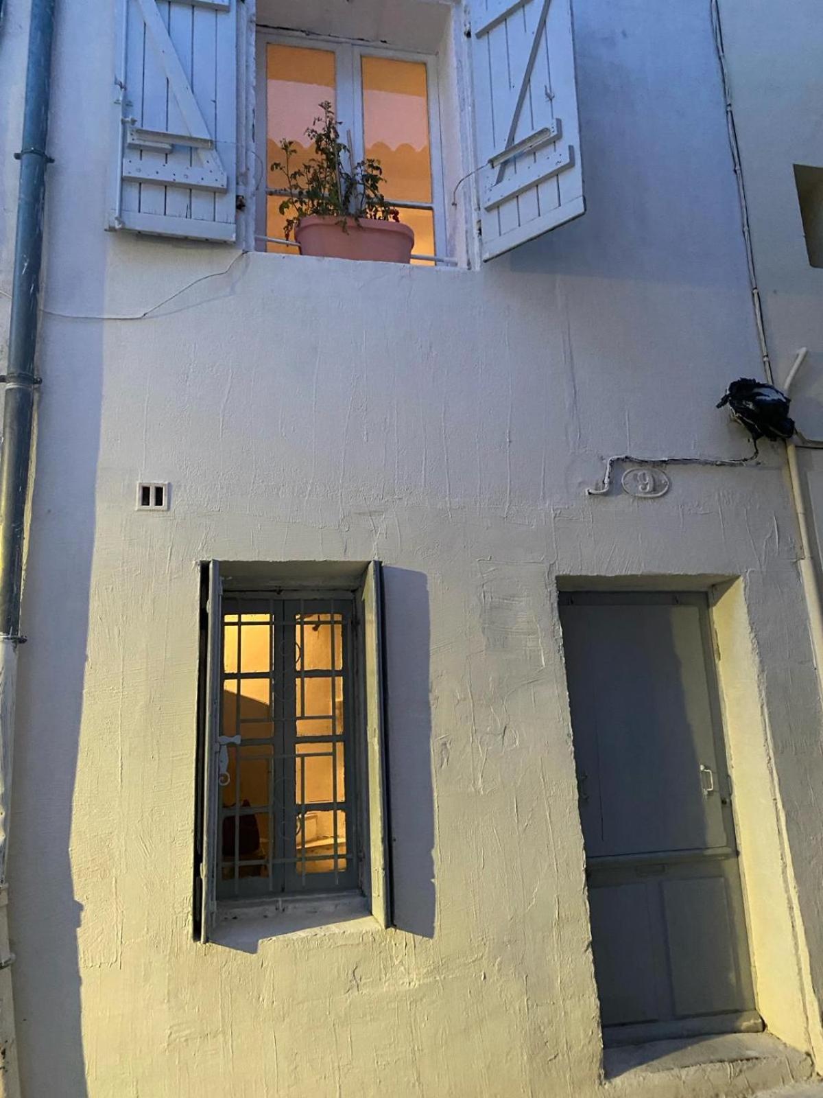 Tiny House 3 Personnes Soeursgrises Beziers Centre Historique Coeur De L'Herault Capitale D'Occitanie Dış mekan fotoğraf