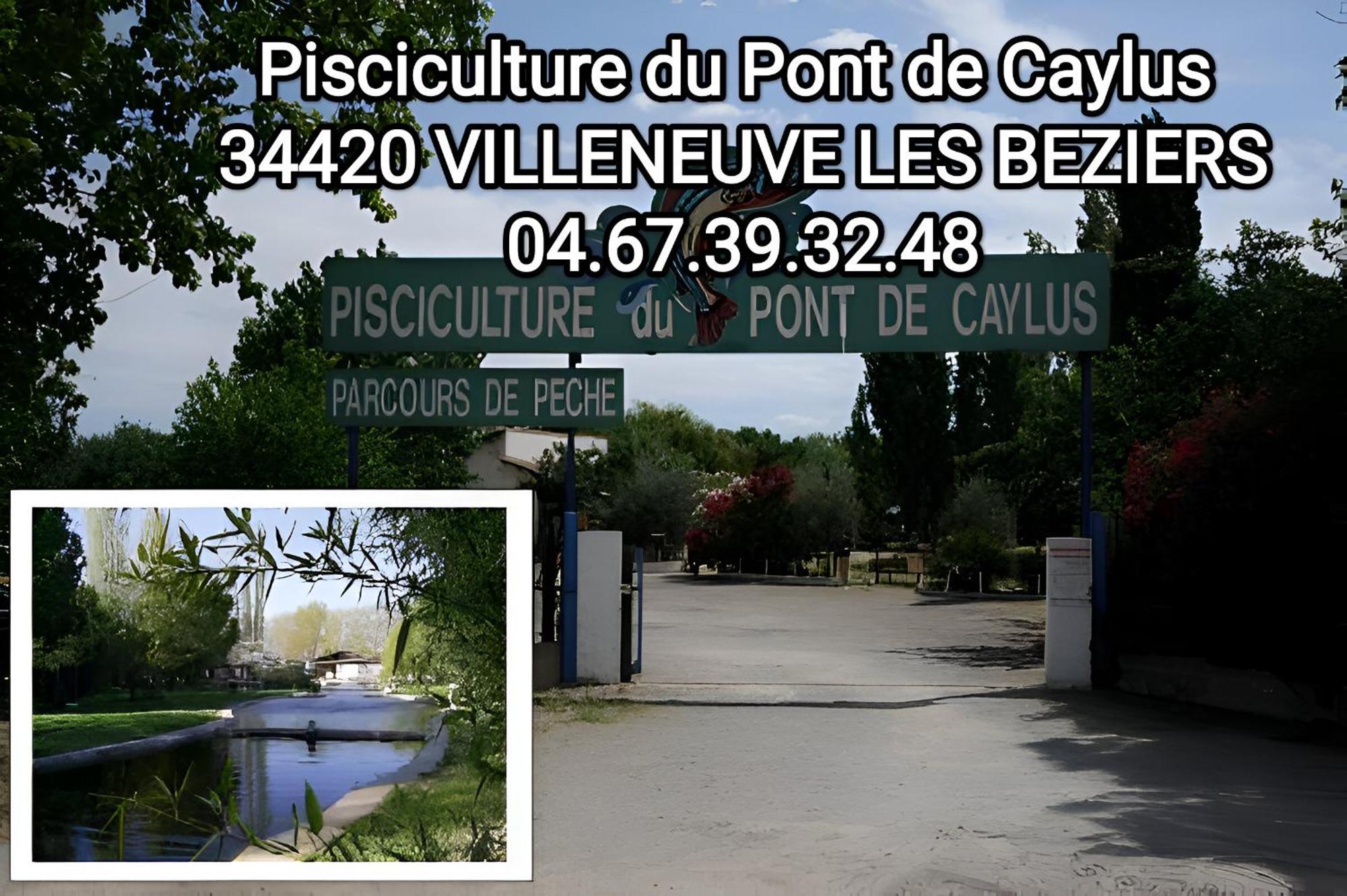 Tiny House 3 Personnes Soeursgrises Beziers Centre Historique Coeur De L'Herault Capitale D'Occitanie Dış mekan fotoğraf